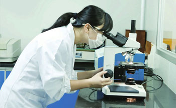 專(zhuān)業(yè)團(tuán)隊(duì)